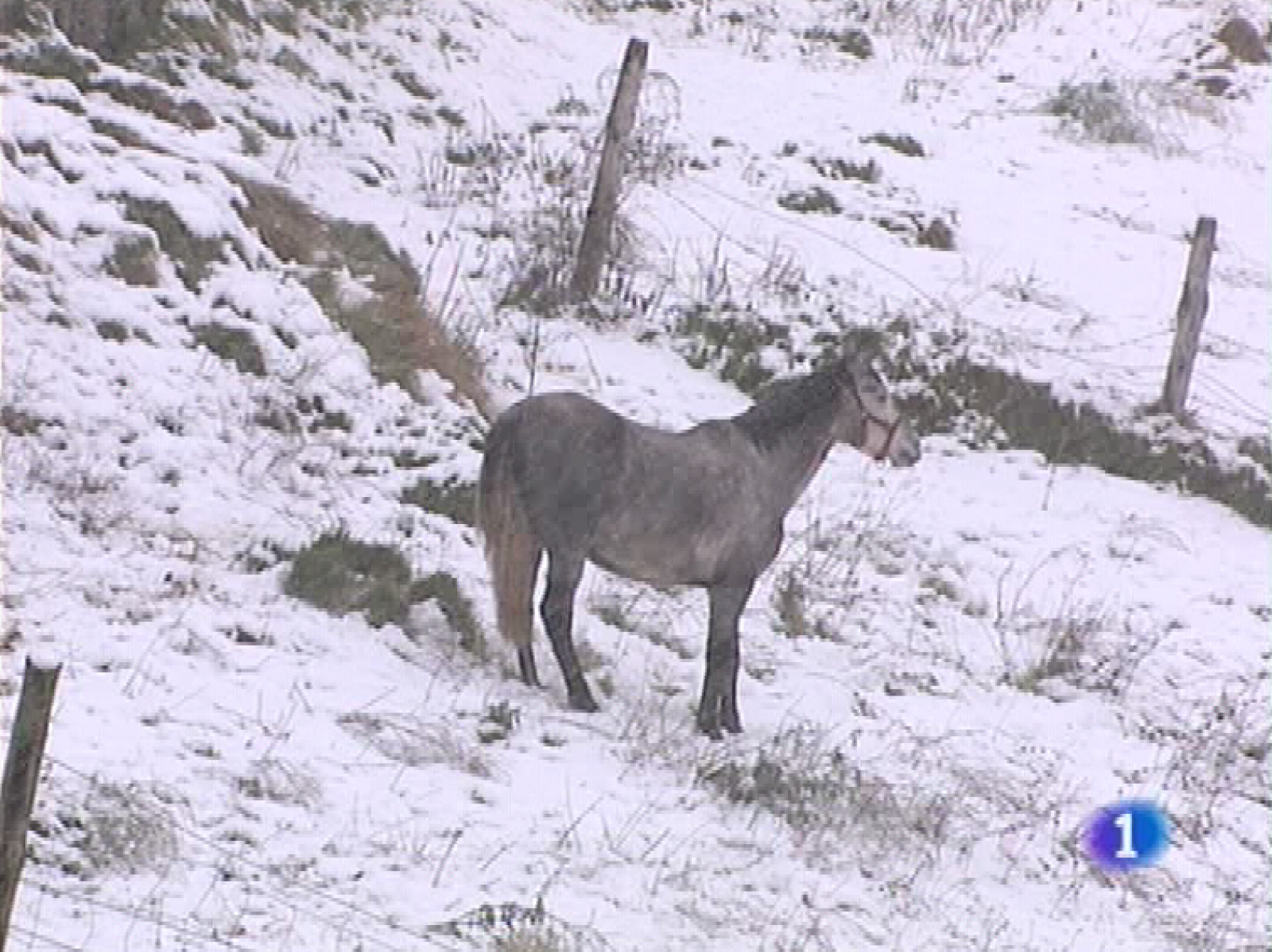 Panorama regional - 30/11/09 - Panorama Regional | Ver