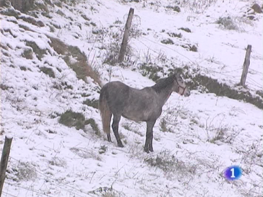 Panorama Regional - Panorama regional - 30/11/09