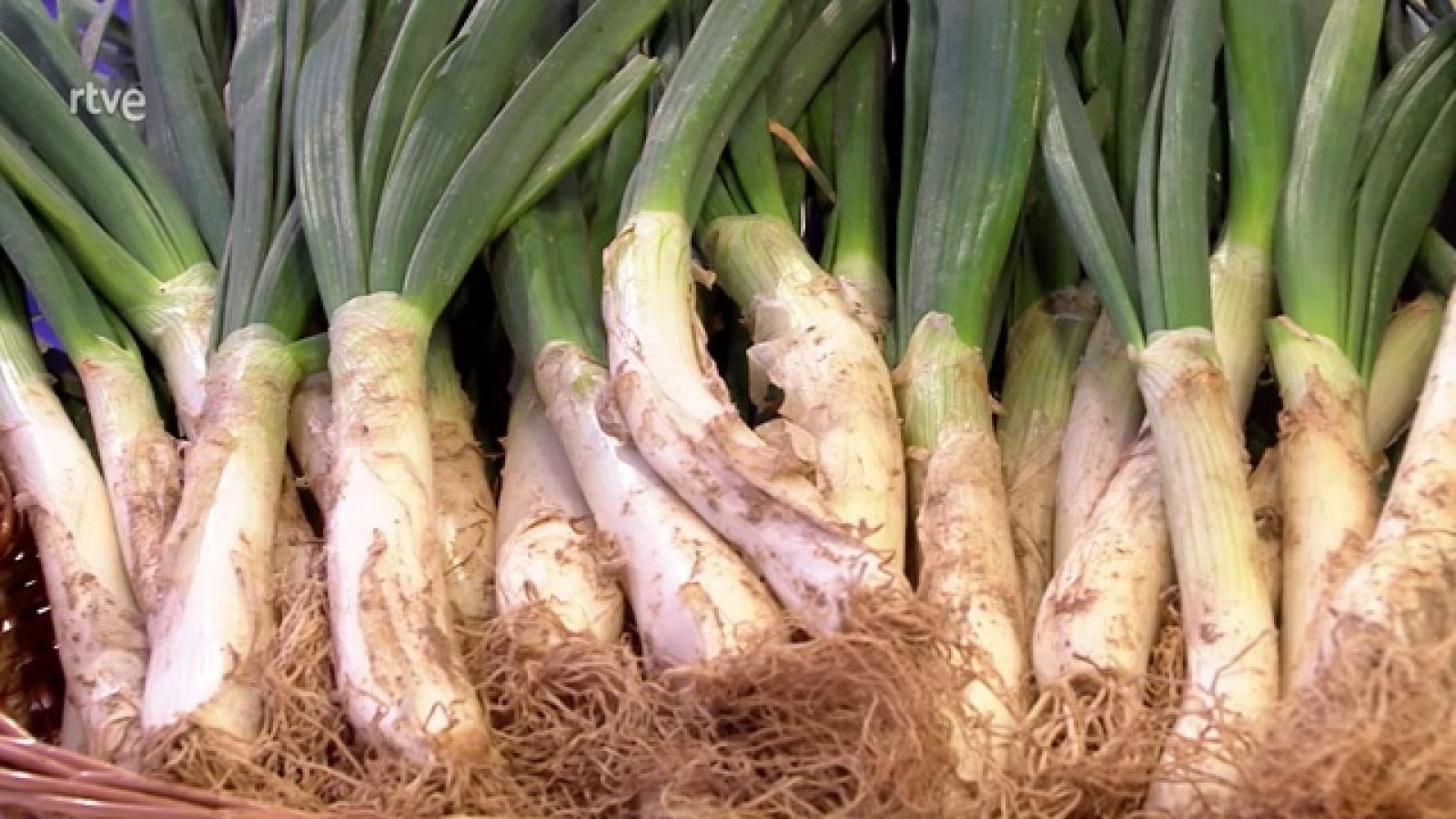 Todo sobre los calçots, una cebolla tierna muy especial