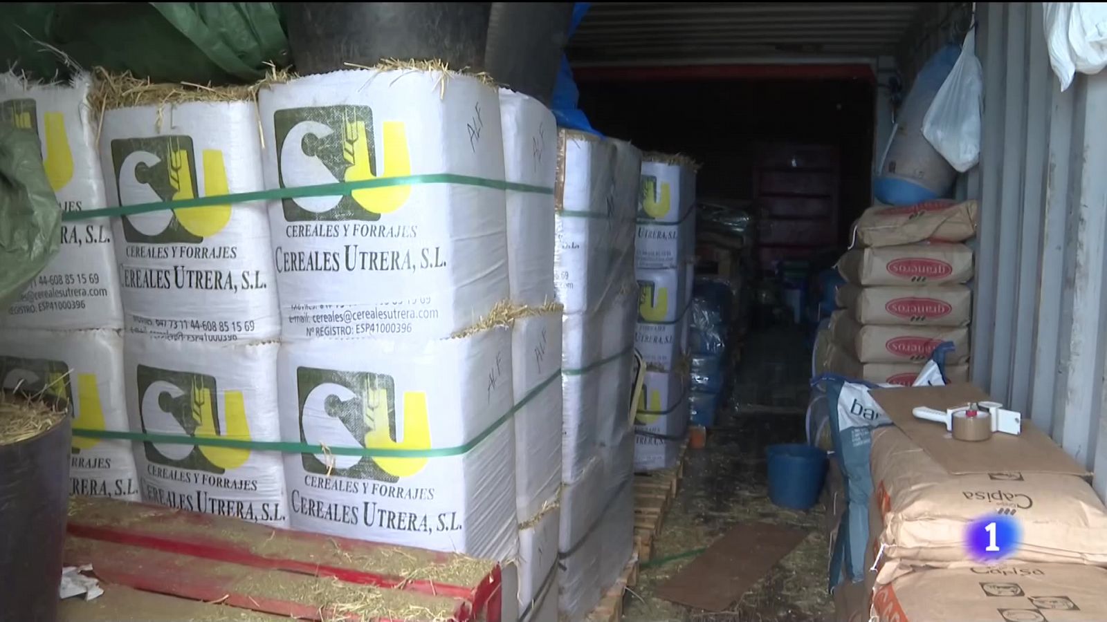 El sector ganadero en Canarias contiene la respiración por la guerra