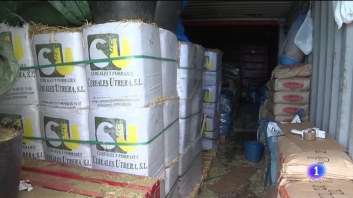 Telecanarias - Suben los precios de piensos, transporte, combustible y electricidad