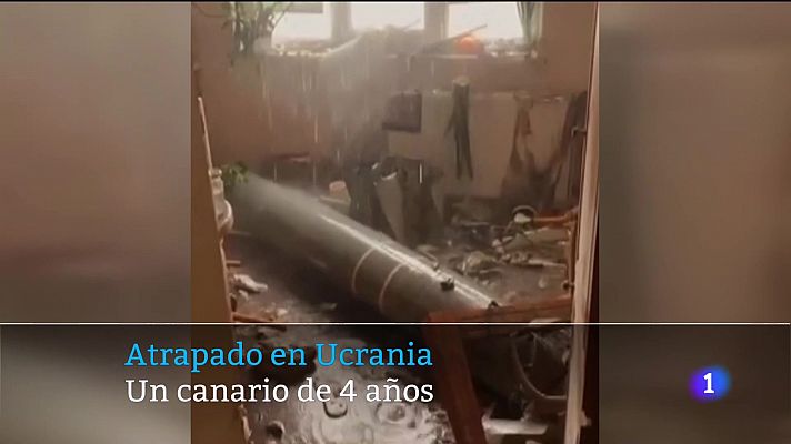 Telecanarias - Telecanarias - 01/03/2022