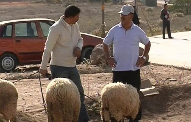 Noticias de Melilla - Noticias de Melilla - 27/11/09