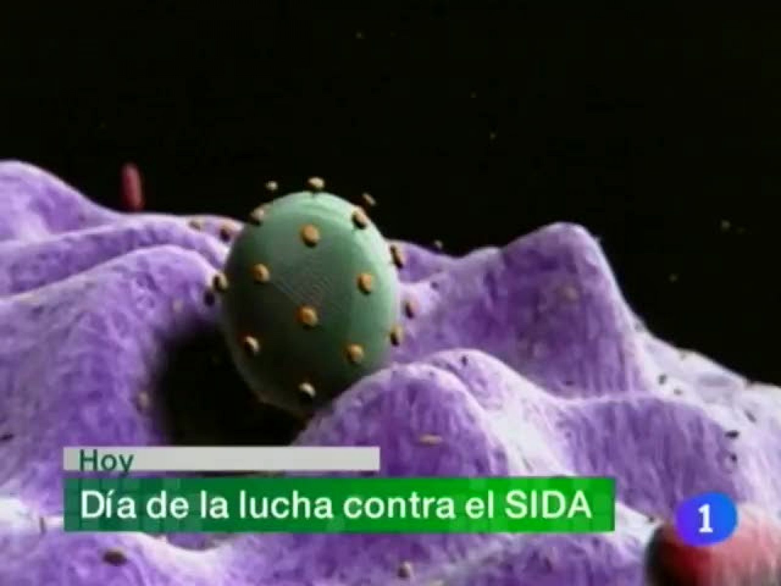 Telenavarra. Informativo Territorial de Navarra (01/12/09)