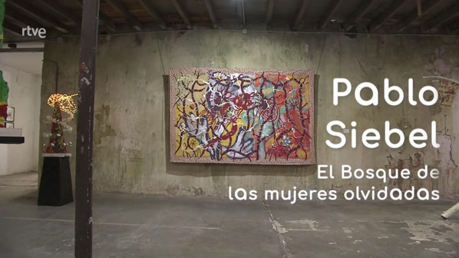 La aventura del saber - El bosque de las mujeres olvidadas - ver ahora