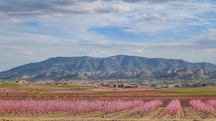 Las temperaturas máximas suben en el entorno de Valencia y bajan en casi toda la mitad norte peninsular