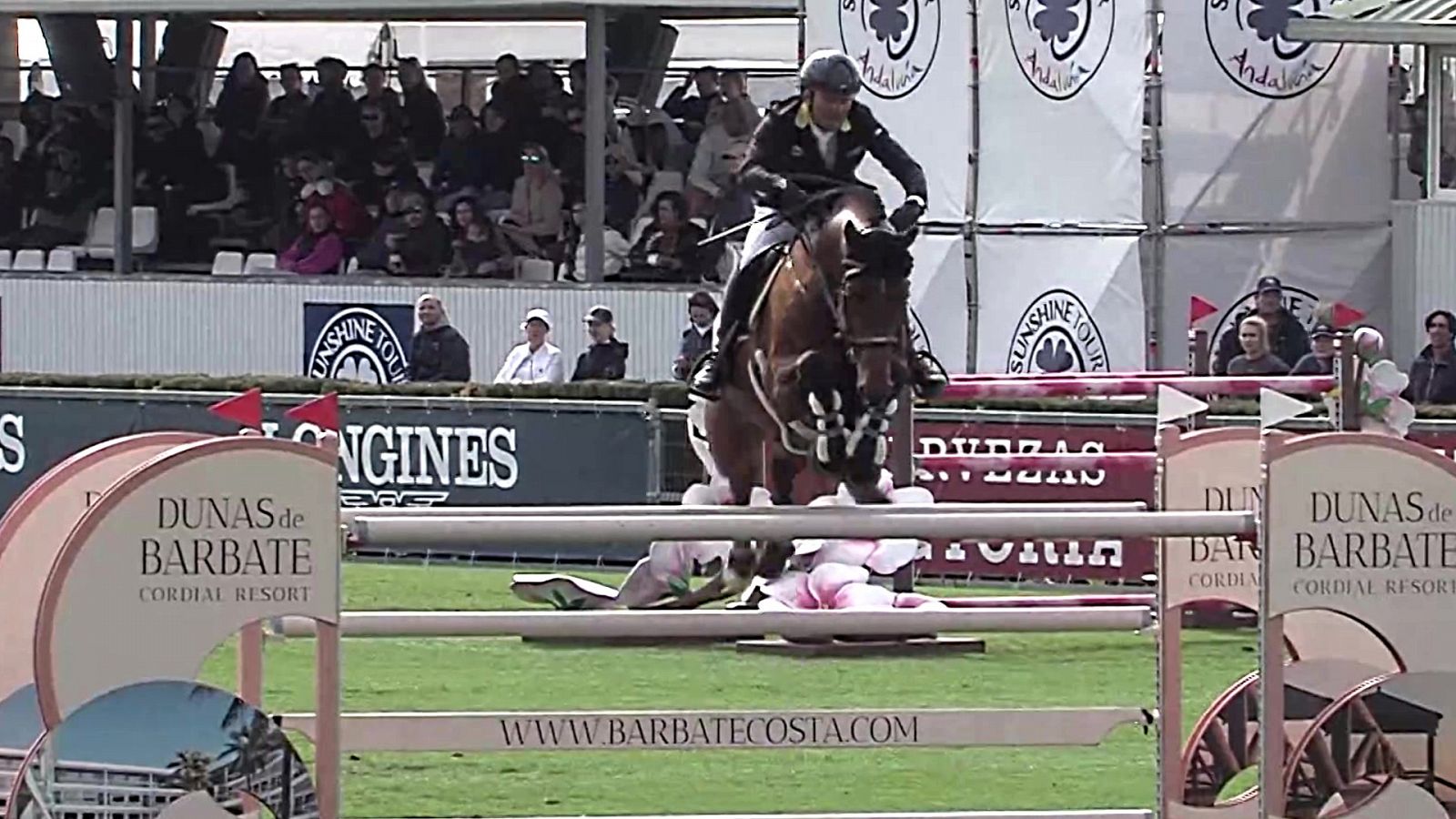 Hípica - Circuito Sunshine Tour. GP Equine América - RTVE Play