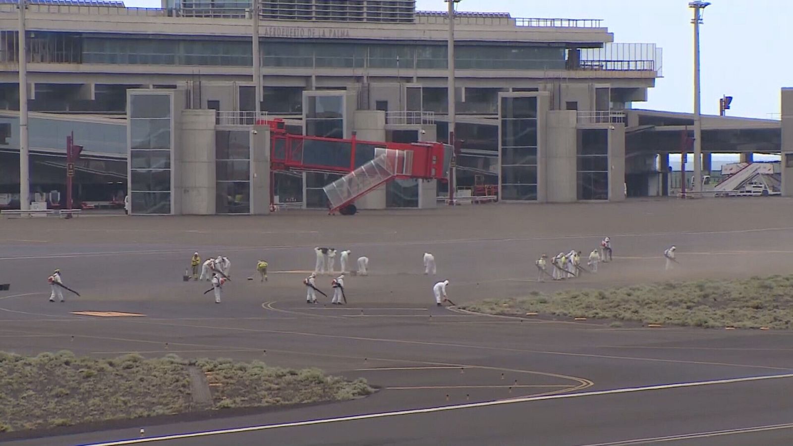 Denuncia pilotos despedidos