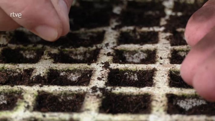 Aquí la Tierra - Semillero y el origen de la vida en la huerta