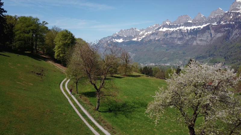 Turisme rural al mn - Sussa i Liechtenstein - Veure ara