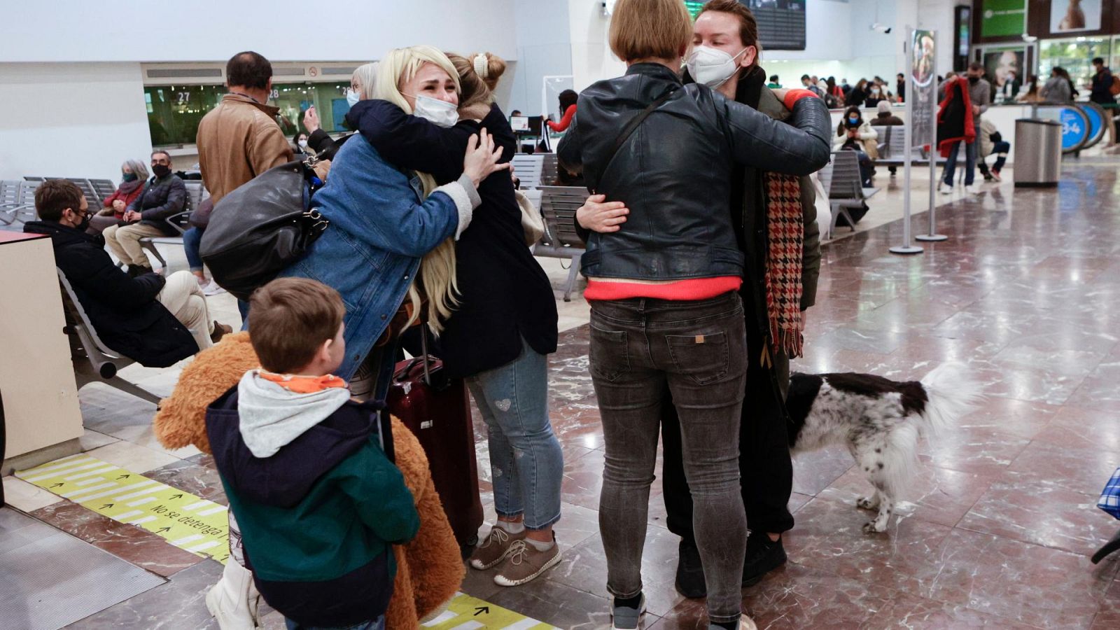 De Ucrania a Bilbao por la guerra | Ver