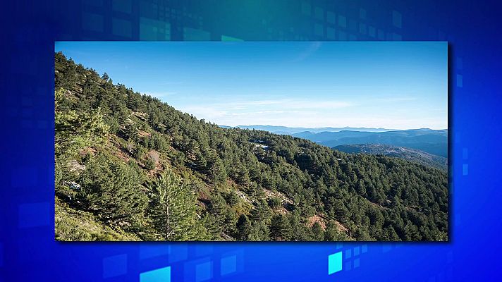 Saber y ganar - Saber y ganar. Edición de fin de semana - 05/03/22