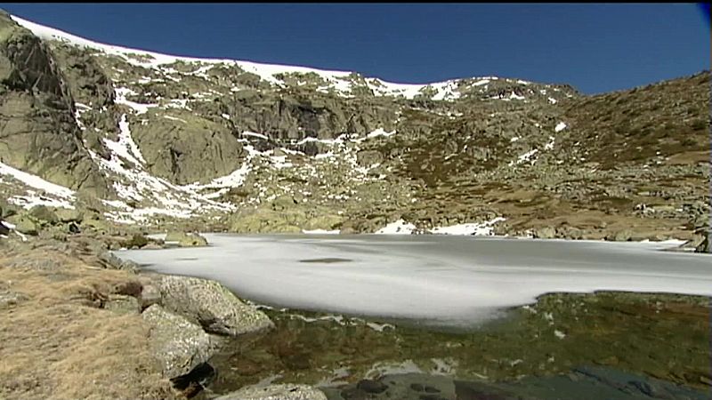 El bosque protector - A ambos lados de Peñalara - ver ahora