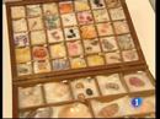  - Colección de caracolas