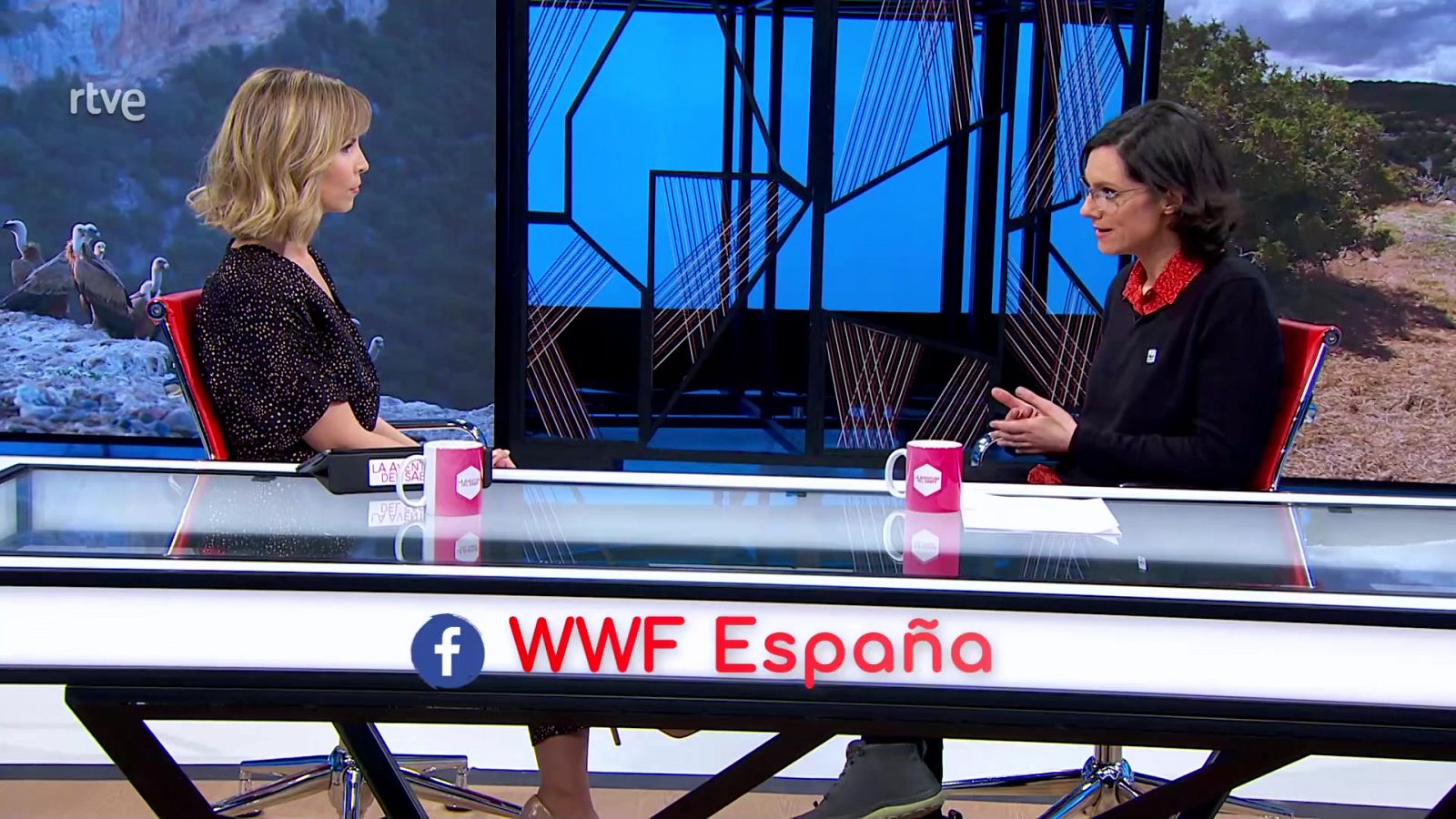 La aventura del saber - Centinelas del veneno. Con WWF España - ver ahora