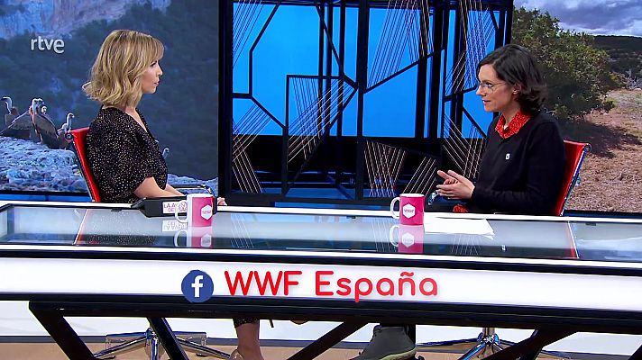 La aventura del Saber - Proyecto: Centinelas del veneno. Con WWF España