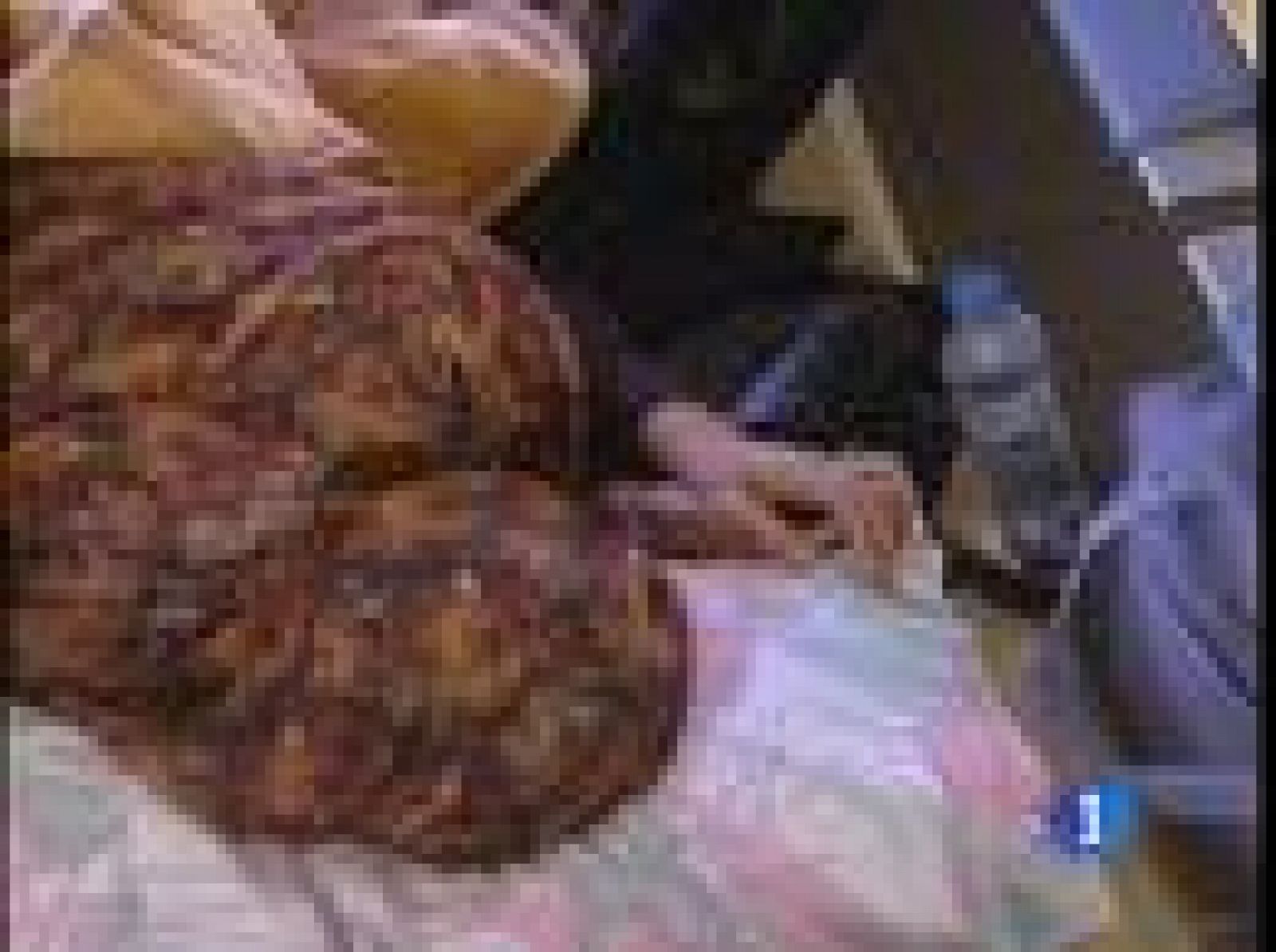 Son ya 18 los días que lleva en huelga de hambre la activista saharaui Aminetu Haidar | Ver