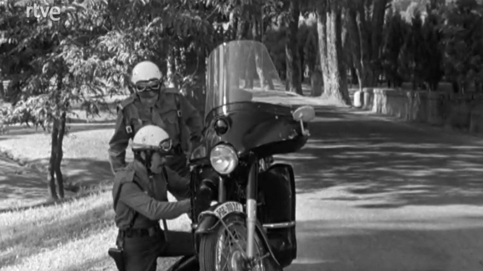 Stop - Otro compañero - STOP | Ver