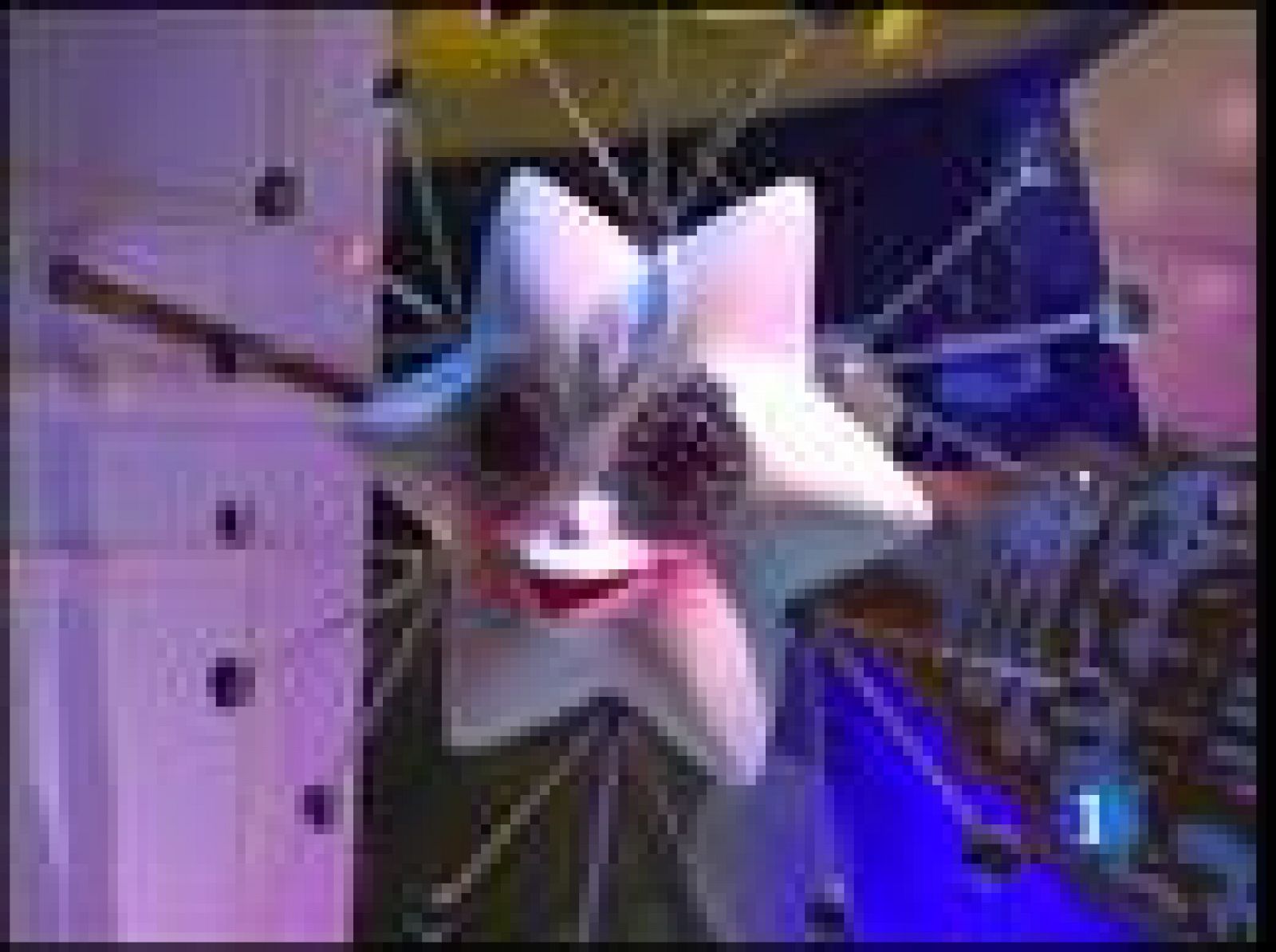 En Nueva York la Navidad se inaugura oficialmente cuando se encienden las luces del árbol | Ver