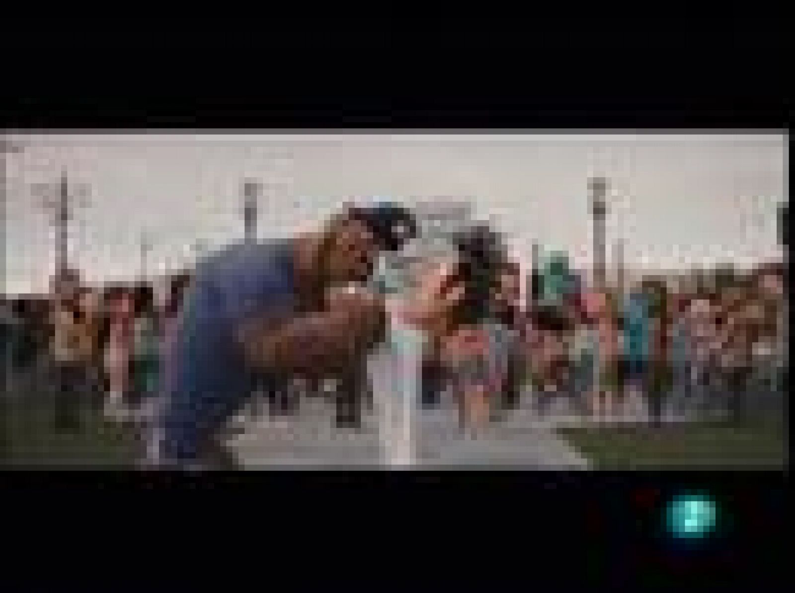 Días de cine - 'Lluvia de albóndigas' | Ver