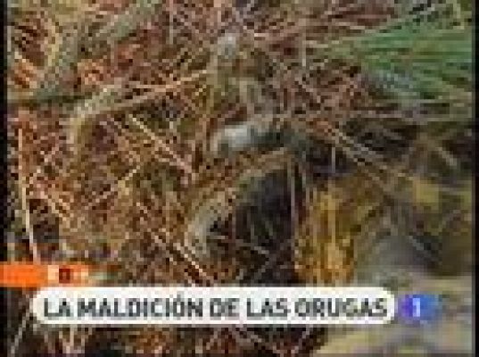 Millones de orugas