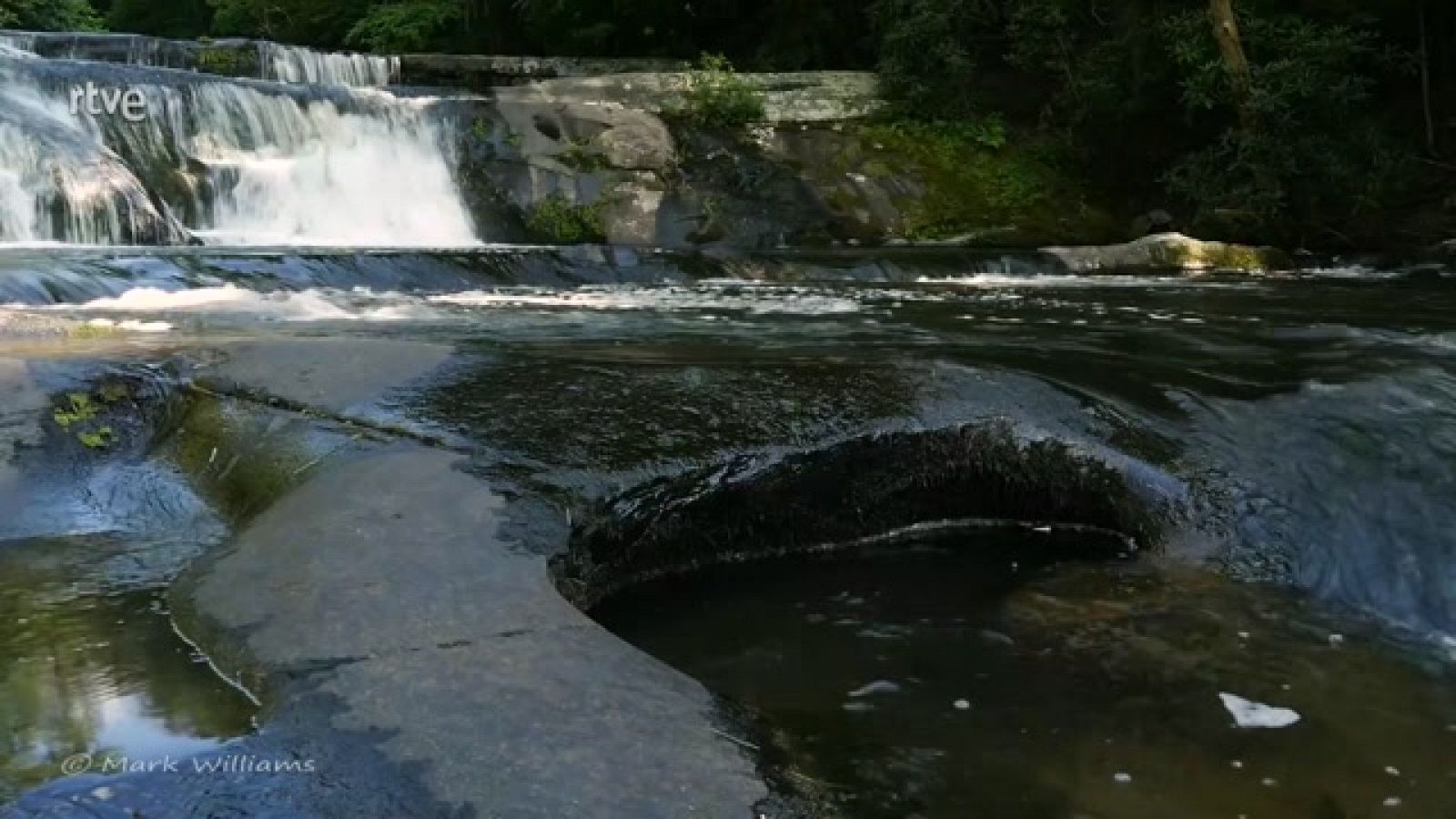 ¿Dónde nos llevará el estudio de la actual y futura emisión de CO2?