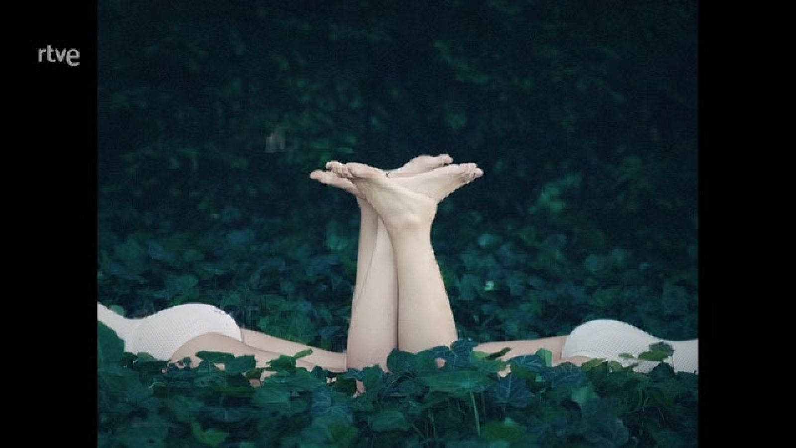 La aventura del saber - Boek visual: Irene Cruz - ver ahora