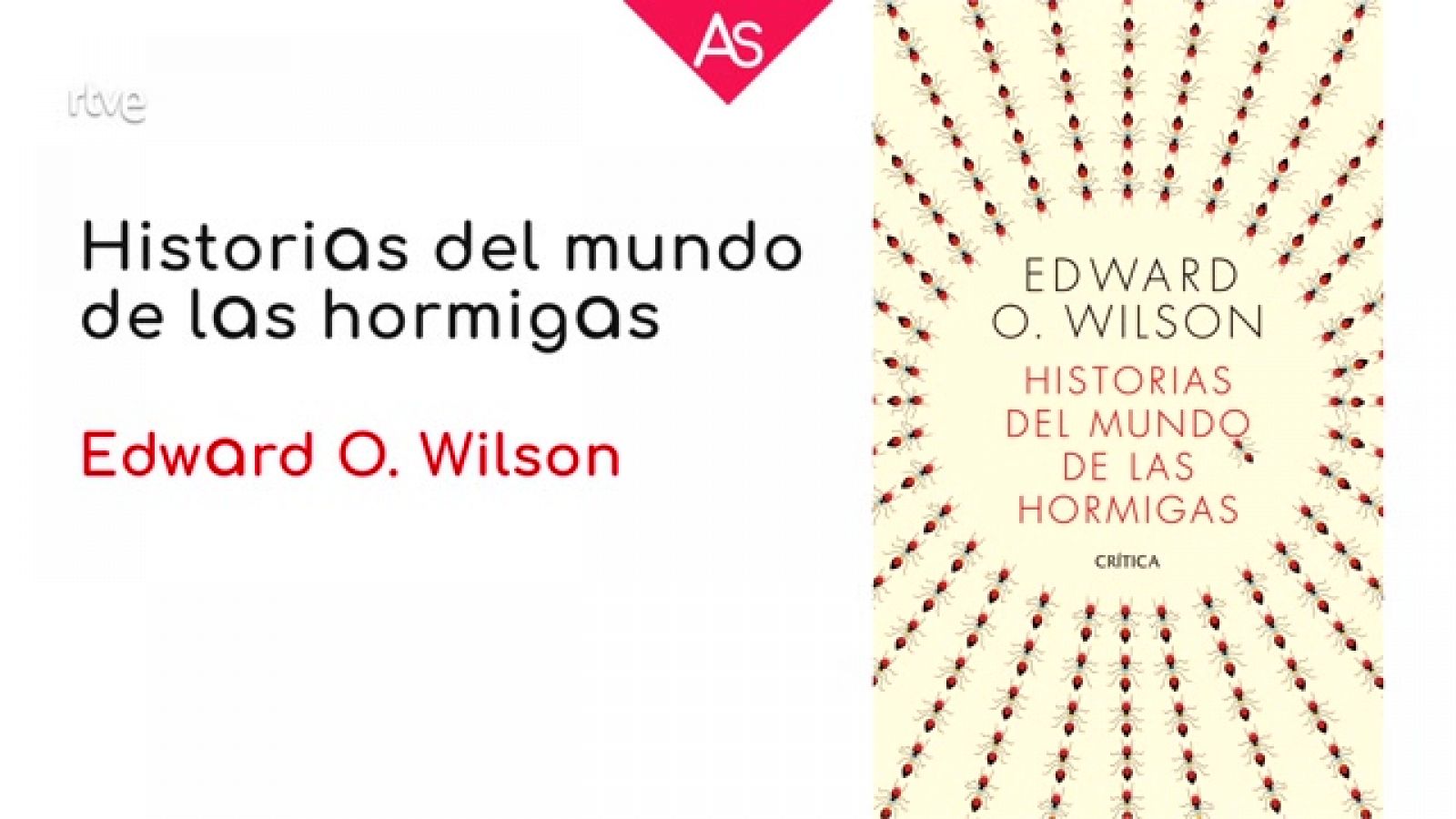 Reseñamos 'Historias del mundo de las hormigas' (2022), de Edward O. Wilson