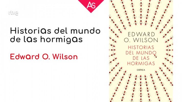 'Historias del mundo de las hormigas', de Edward O. Wilson