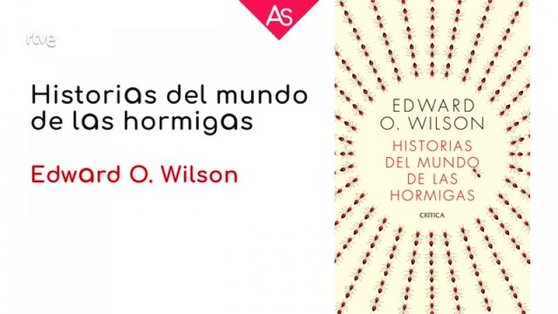 La aventura del saber - Reseñamos 'Historias del mundo de las hormigas' (2022), de Edward O. Wilson - ver ahora