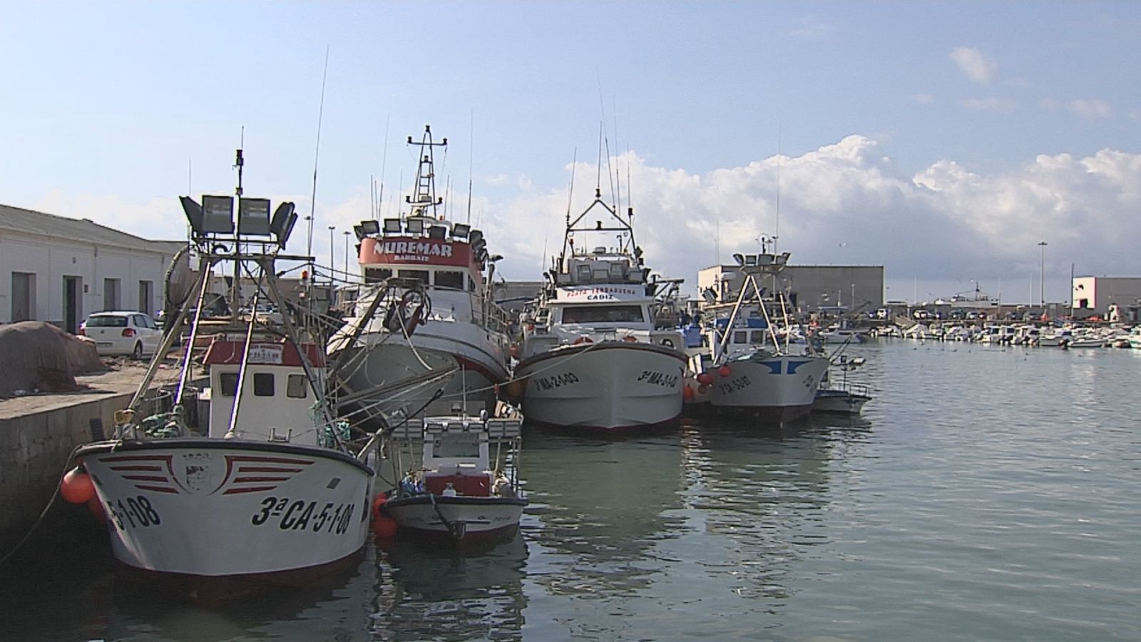 Los pesqueros de Barbate no salen a faenar - Ver ahora