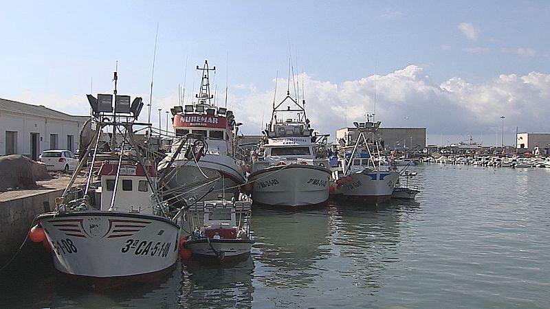 Los pesqueros de Barbate no salen a faenar - Ver ahora