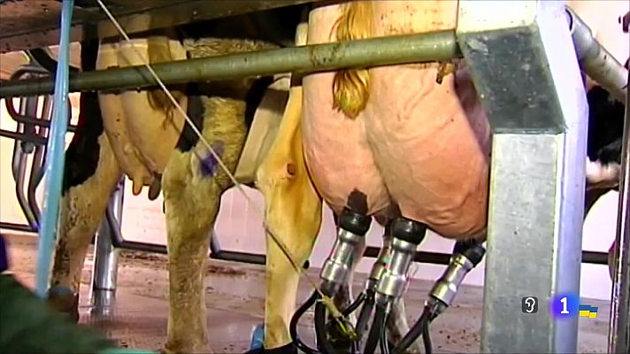 Telecanarias - Canarias en 2' - 10/03/2022