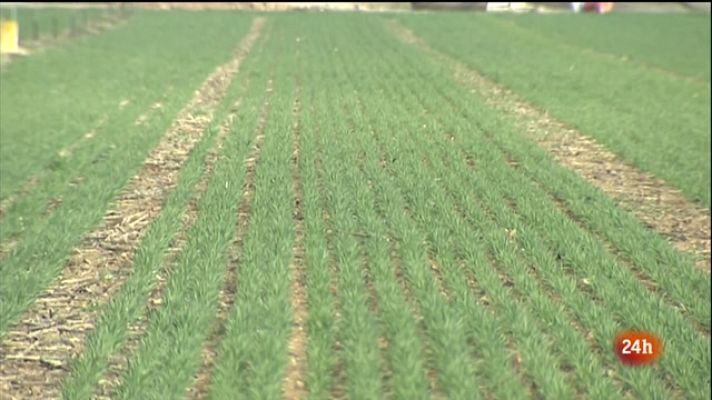 L'Informatiu - El Vespre - 10/03/2022