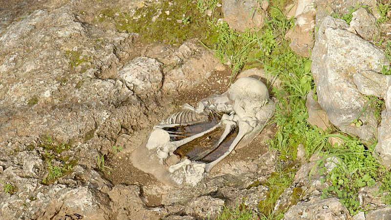 Arqueomanía - El nacimiento del Neolítico - ver ahora