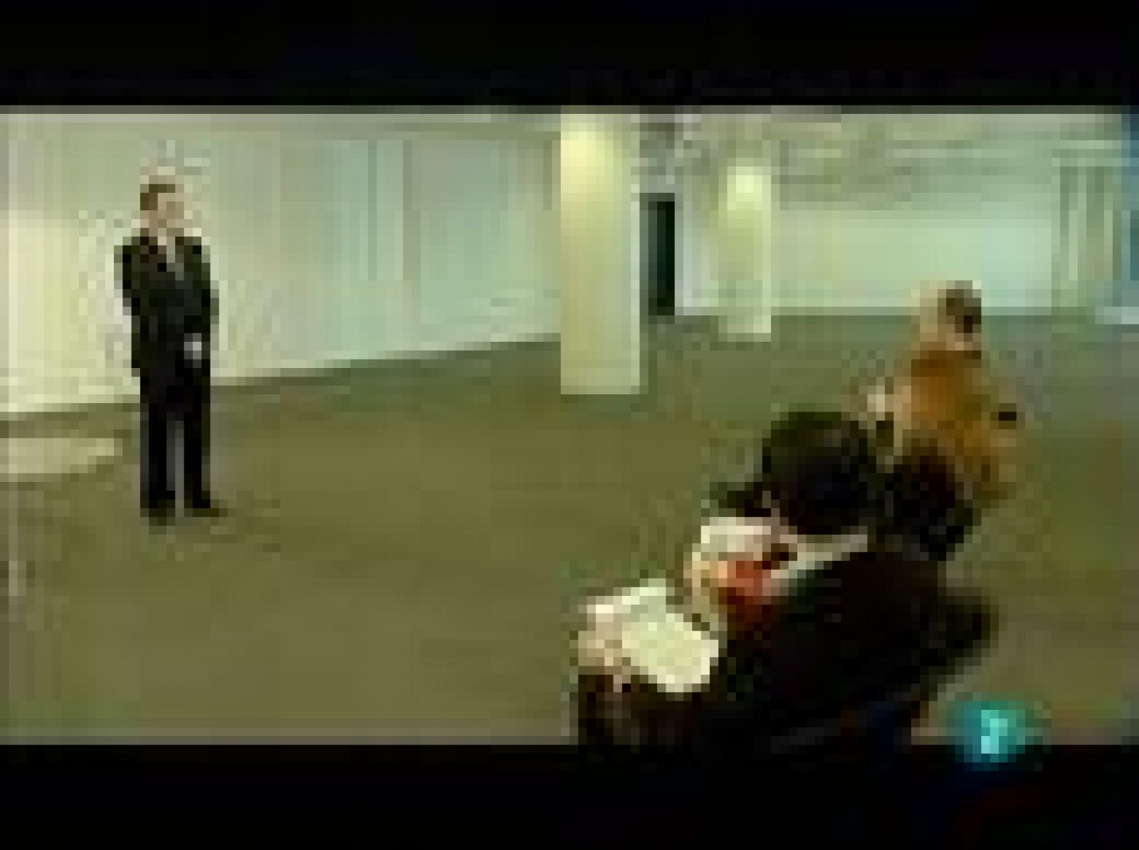 Fábrica de ideas - Opinión expertos: Made in Jaén | Ver