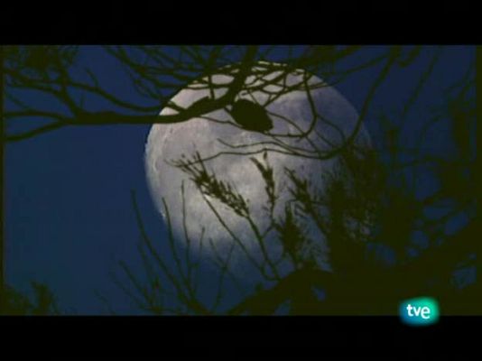 Jara y sedal - A las puertas del desierto