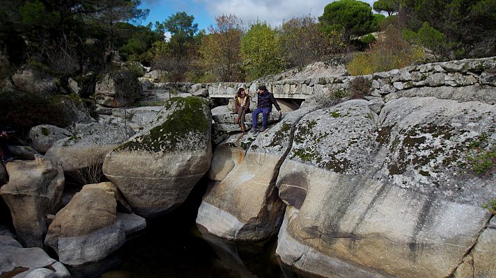 El señor de los bosques - Hoyo de Pinares