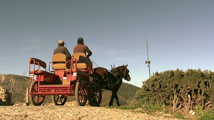 Zoom Tendencias - Lo último en viajes