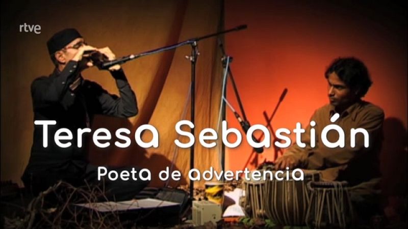 La aventura del saber - Teresa Sebastián. Poeta de advertencia - ver ahora