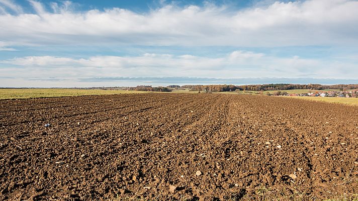¿Cultivar tierras en barbecho para producir más cereales?
