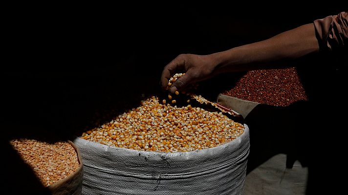 Telediario 2 - La guerra de Ucrania y el mercado del grano europeo: "Si el conflicto se alarga no tendríamos producción"