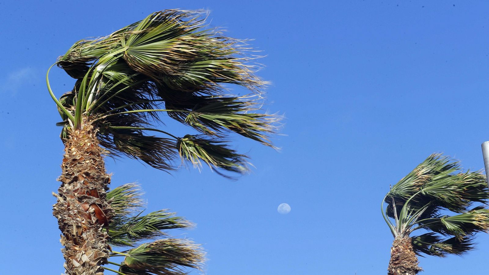 Tiempo: viento fuerte y precipitaciones intensas en Andalucía