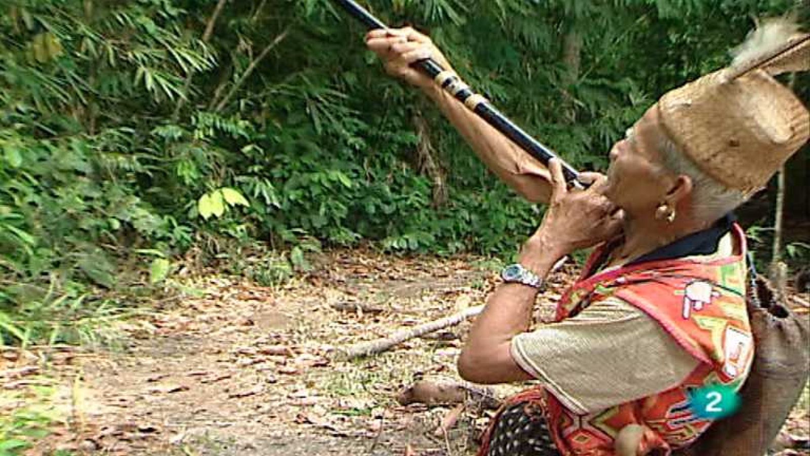 Otros pueblos - Iban, Borneo (Malasia) - Otros pueblos | Ver