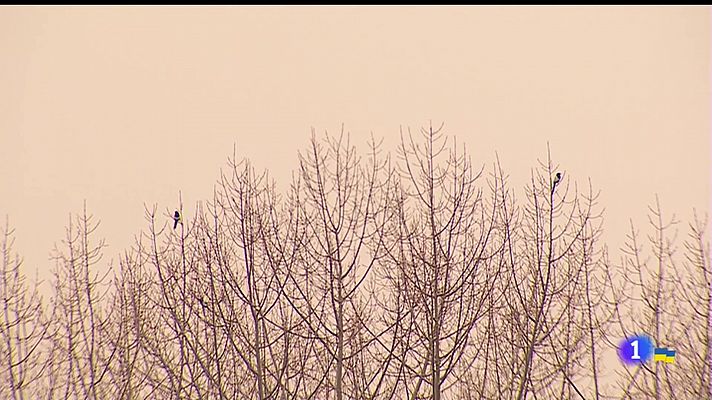 Panorama Regional - Asturias en 2' - 15/03/22
