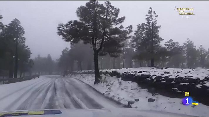 Cerca de ti - Cerca de ti - 15/03/2022