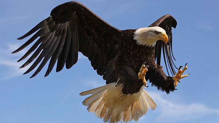 Fuerzas aéreas