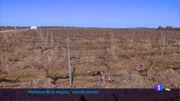 Noticias de Extremadura - Medidas de la sequía, "insuficientes"