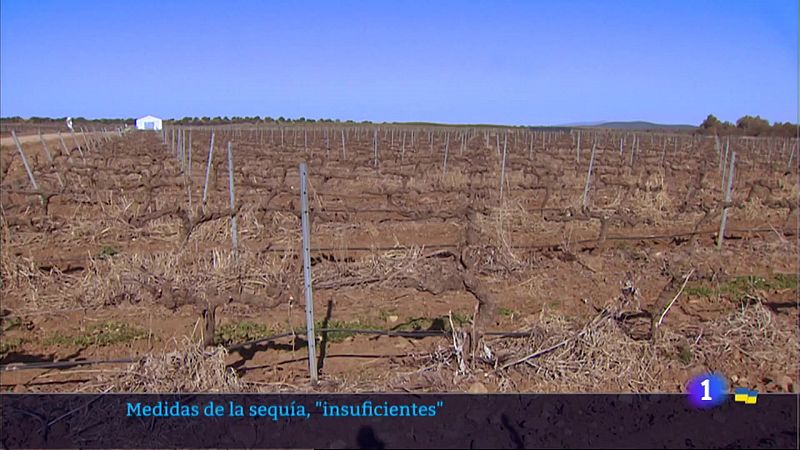 Medidas de la sequía, "insuficientes" - 16/03/2022
