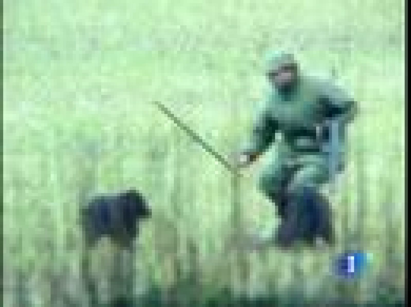 Isabel II pide respeto a los medios de comunicación para ella y su familia | Ver